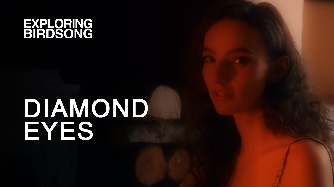 Exploring Birdsong  - Diamond Eyes (Deftones Cover) - Official Video