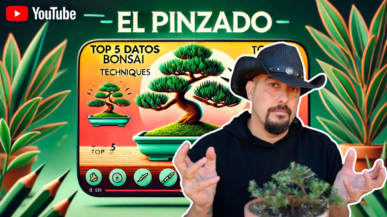 Pinzado del Bonsai - Top 5 datos IMPRESCINDIBLES