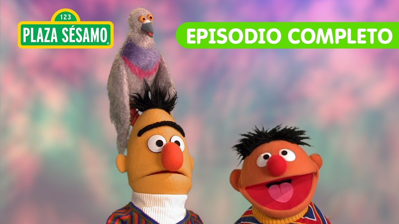Plaza Sésamo: ¡Aprendemos con Beto y Enrique la palabra del día: CÍRCULO! | Episodio Completo