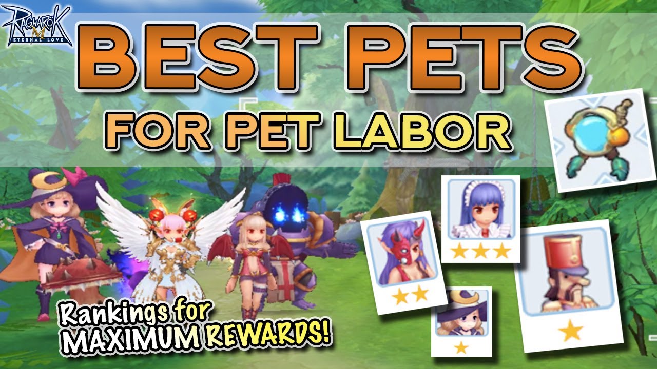 РЕЙТИНГ ЛУЧШИХ ПИТОМЦЕВ ДЛЯ РАБОТЫ (МАКСИМАЛЬНЫЕ НАГРАДЫ) | Ragnarok M Eternal Love