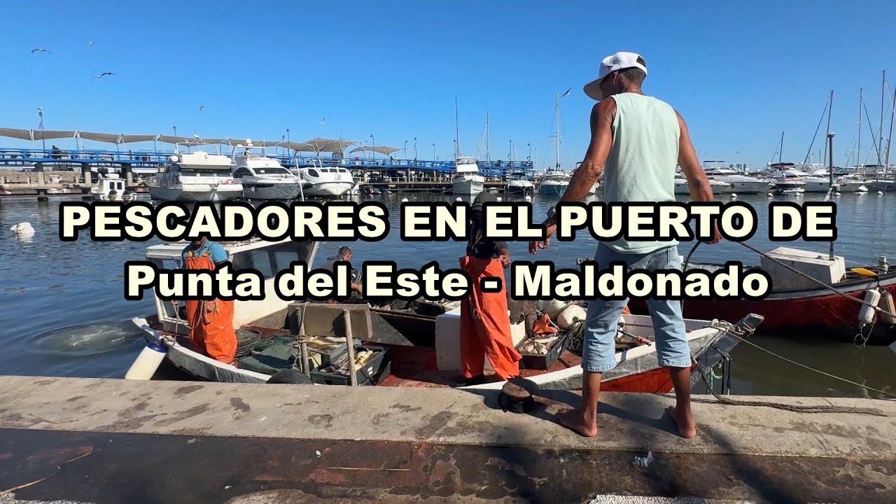 Punta del Este, Peninsula, Puerto, Pescadores, 17.01.2026