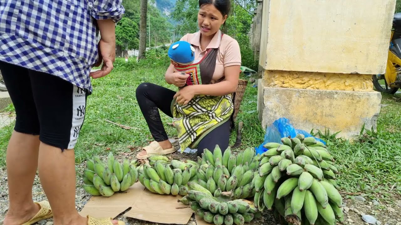 Single mother makes bamboo bed - harvests bananas to sell - Daily life of a small family