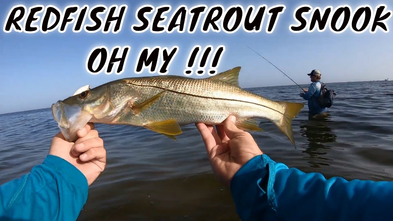 WHAT A DAY!!! SNOOK, REDFISH, TROUT ON THE BOKEELIA GRASS FLATS