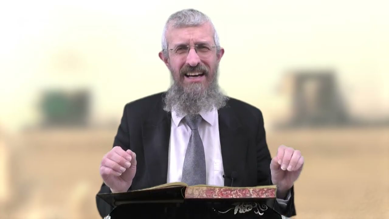 מסכת מנחות דף נח - 8 דקות של לומדות ועמקות בדרך הלימוד הישיבתית [Menachot 58]