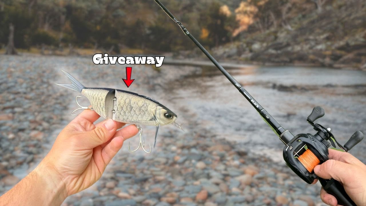 ЛУЧШАЯ приманка для ловли трески на поверхностных водах Murray