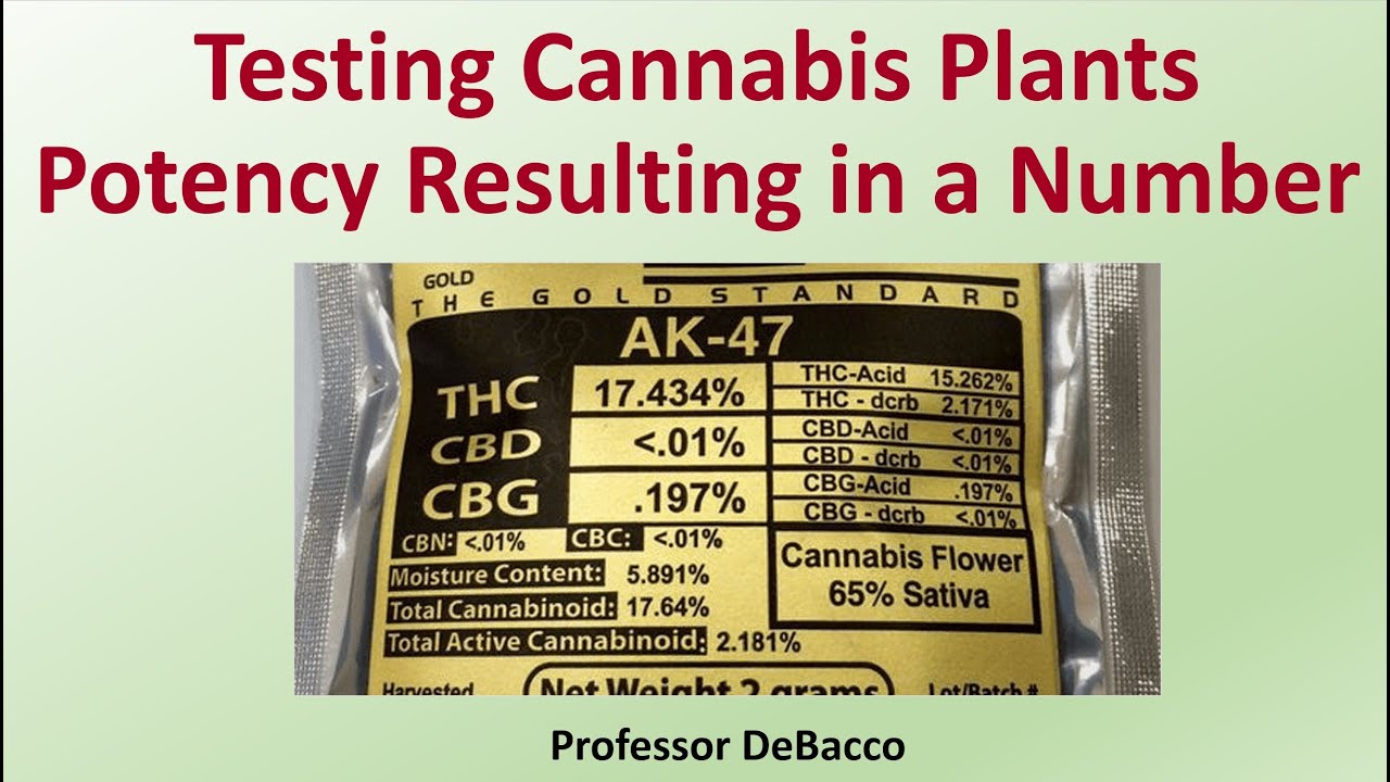 Testing Cannabis Plants Potency Resulting in a Number