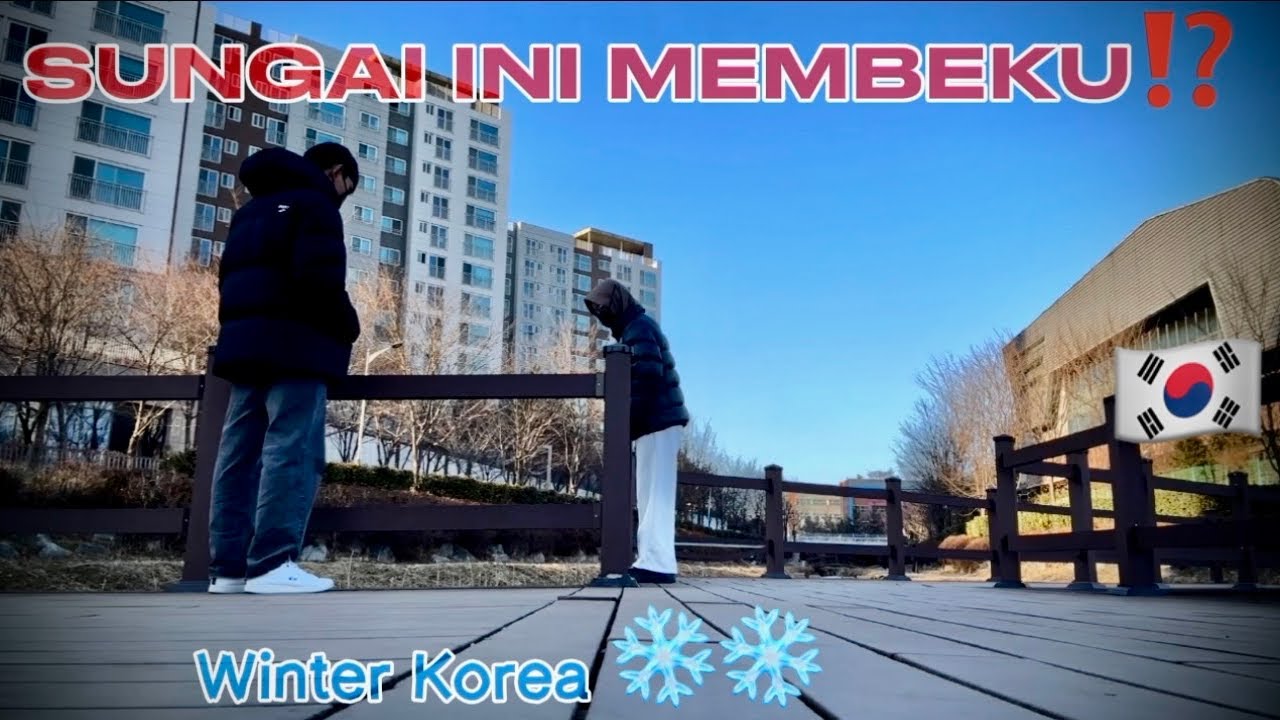 Winter Korea: Sungai Sampai Membeku! Sunyi Tapi Indah Banget❄️🇰🇷