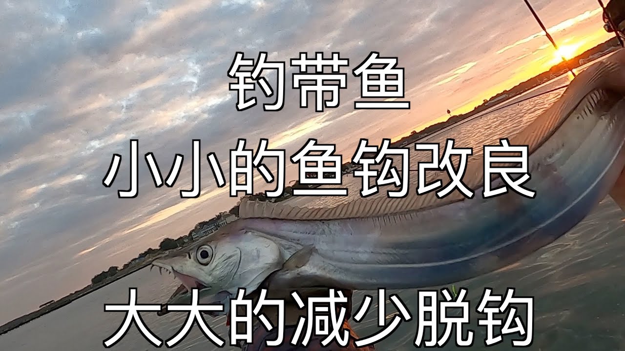 钓带鱼如何减少脱钩