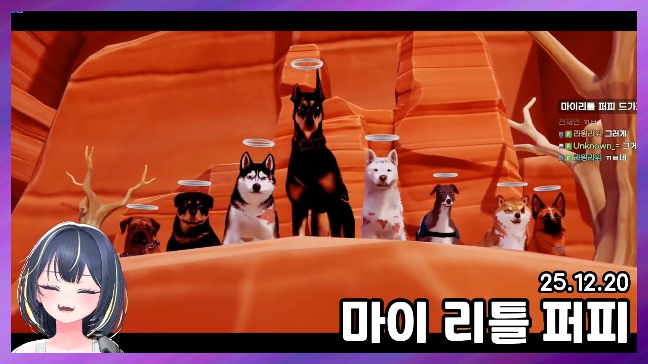 마이 리틀 퍼피 [2025.12.20 / 깐숙 풀영상]