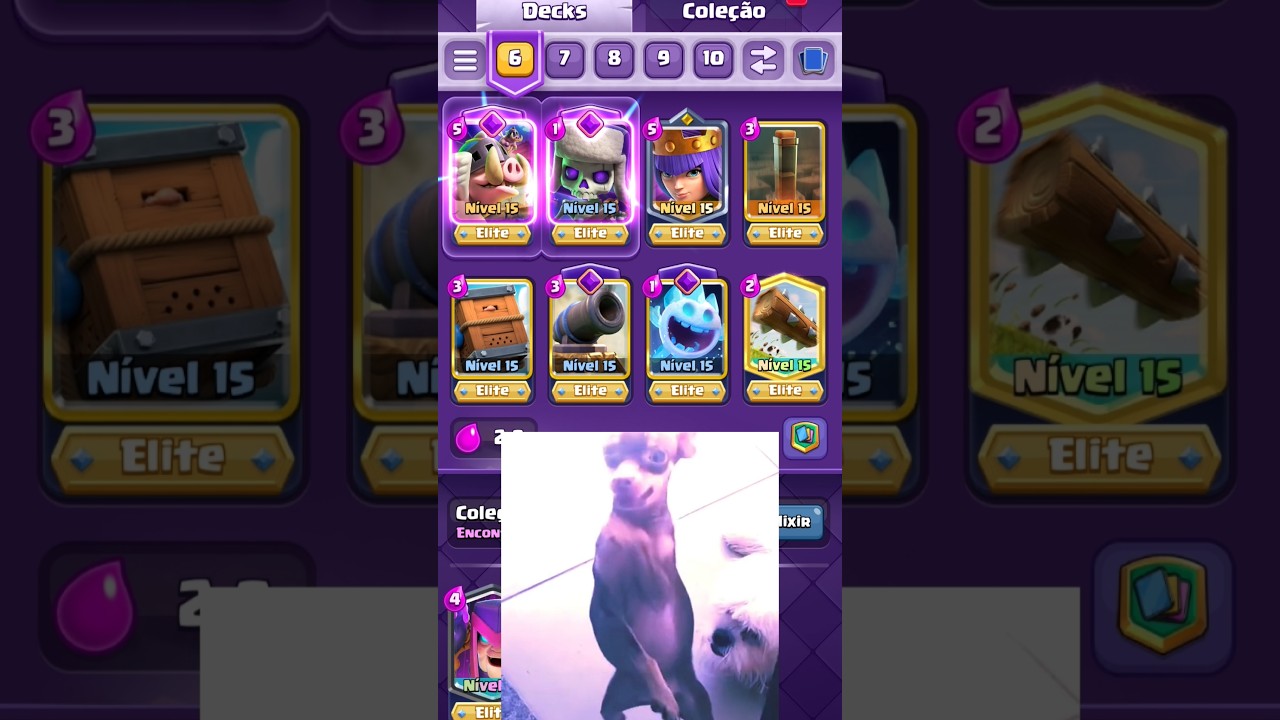 DECK PORCOS REAIS EVOLU&Iacute;DOS #clashroyale