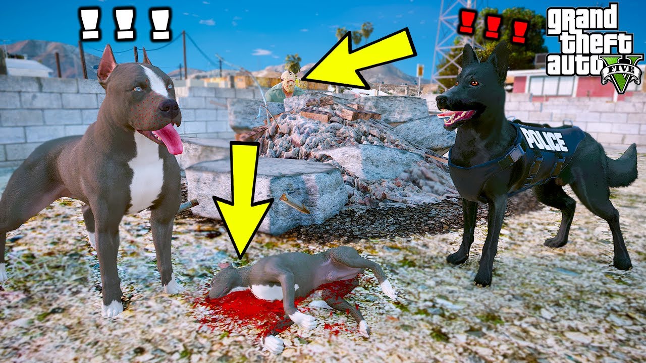 K-9 SİVAS KANGALI ŞEYTAN ÖLMÜŞ YAVRU PİTBULL BULUYOR! - GTA 5