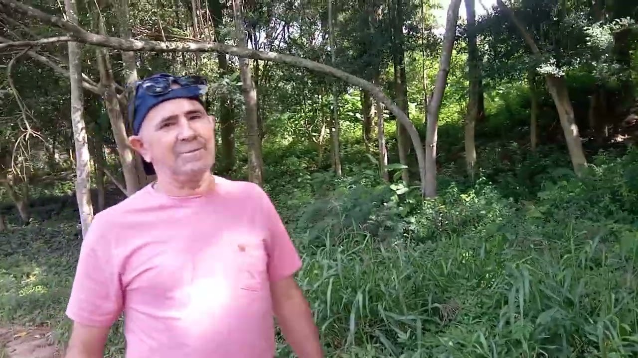 Visitando um parque em sp