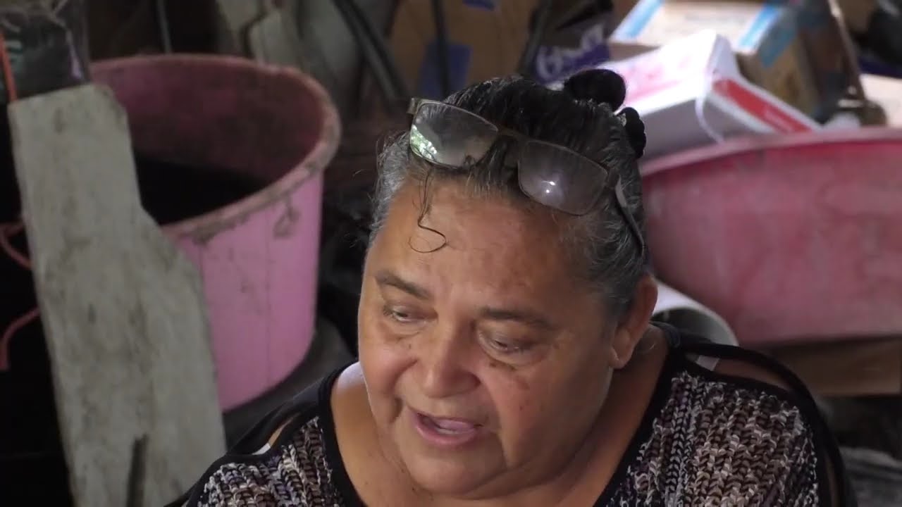ALIANZA, VALLE . EL TURISTA, HONDURAS EN LA MOCHILA