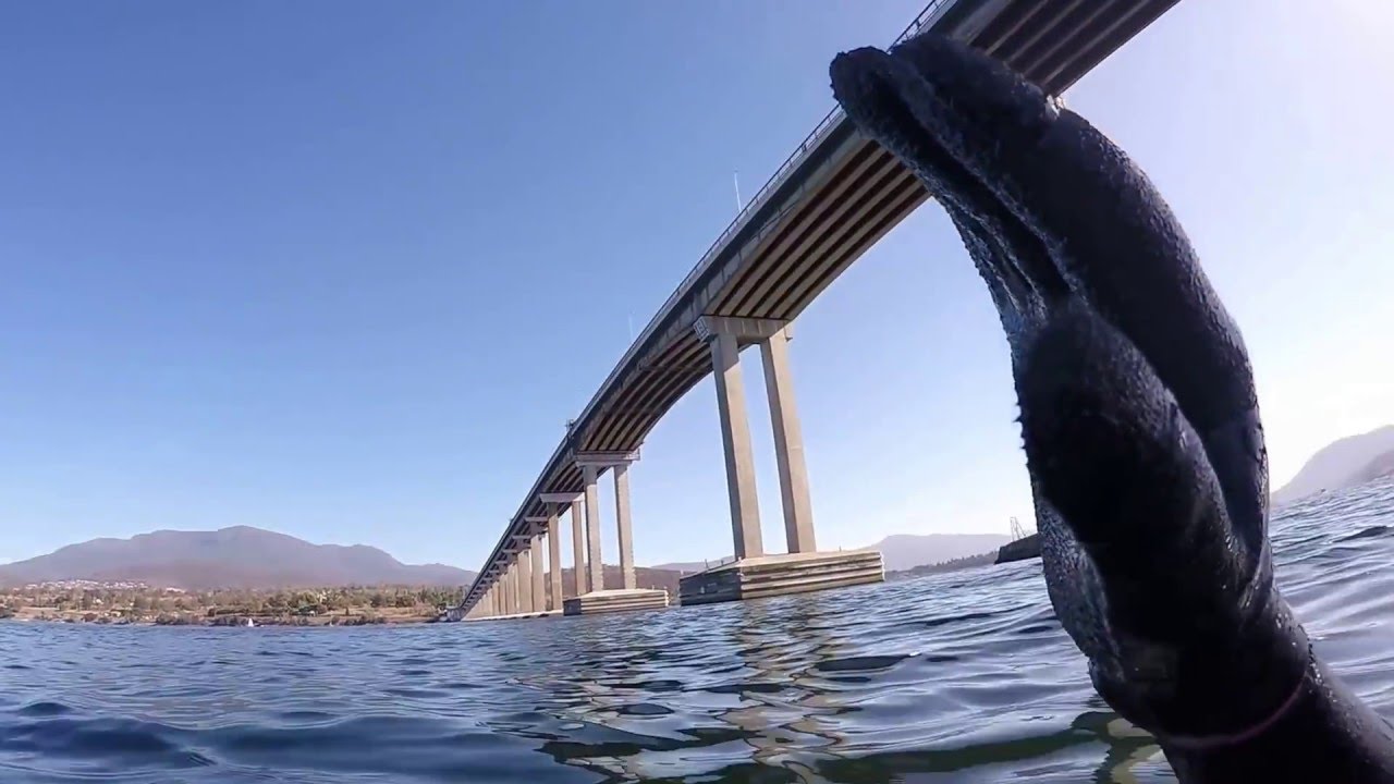 TUDC dive of MV Lake Illawarra