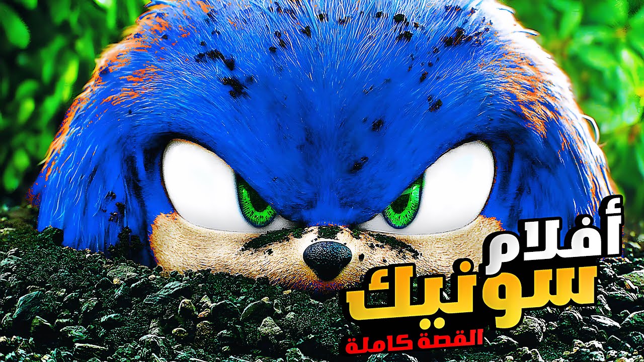 ملخص فيلم سونيك الجزء الأول والثاني 1️⃣2️⃣ | الملخص كامل | ملخصات افلام كرتون سونيك sonic