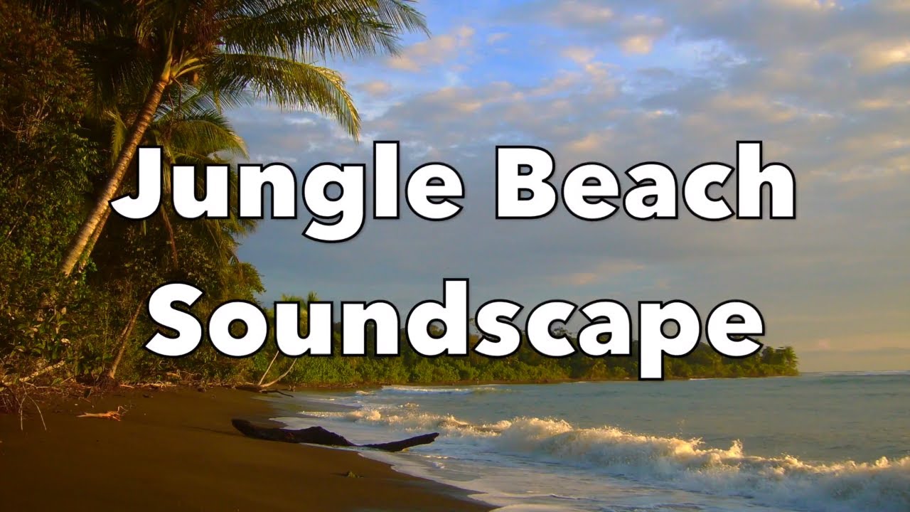 Jungle Beach Soundscape | Relaxation Sounds | 10 hours