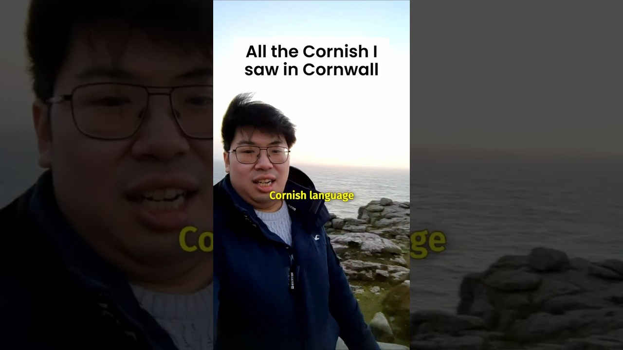 All the Cornish I saw in Cornwall