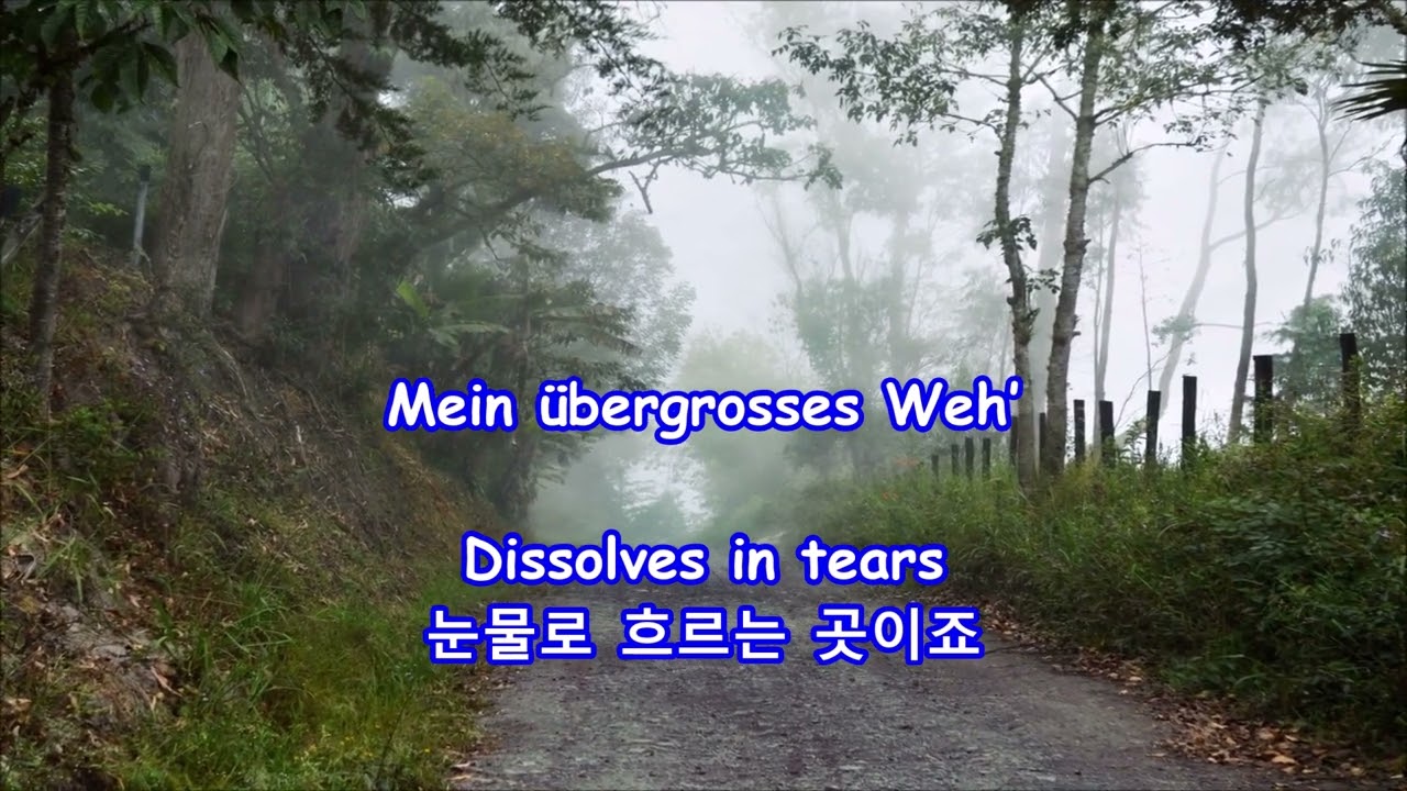 Hör' ich das Liedchen klingen (When I hear the little song) - Fritz Wunderlich: with Lyrics(가사번역)