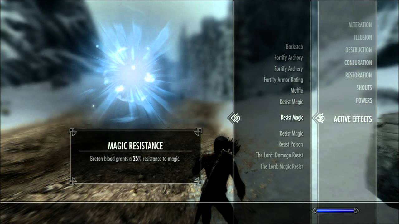 Skyrim Assassin. Dragons and Magic Resist