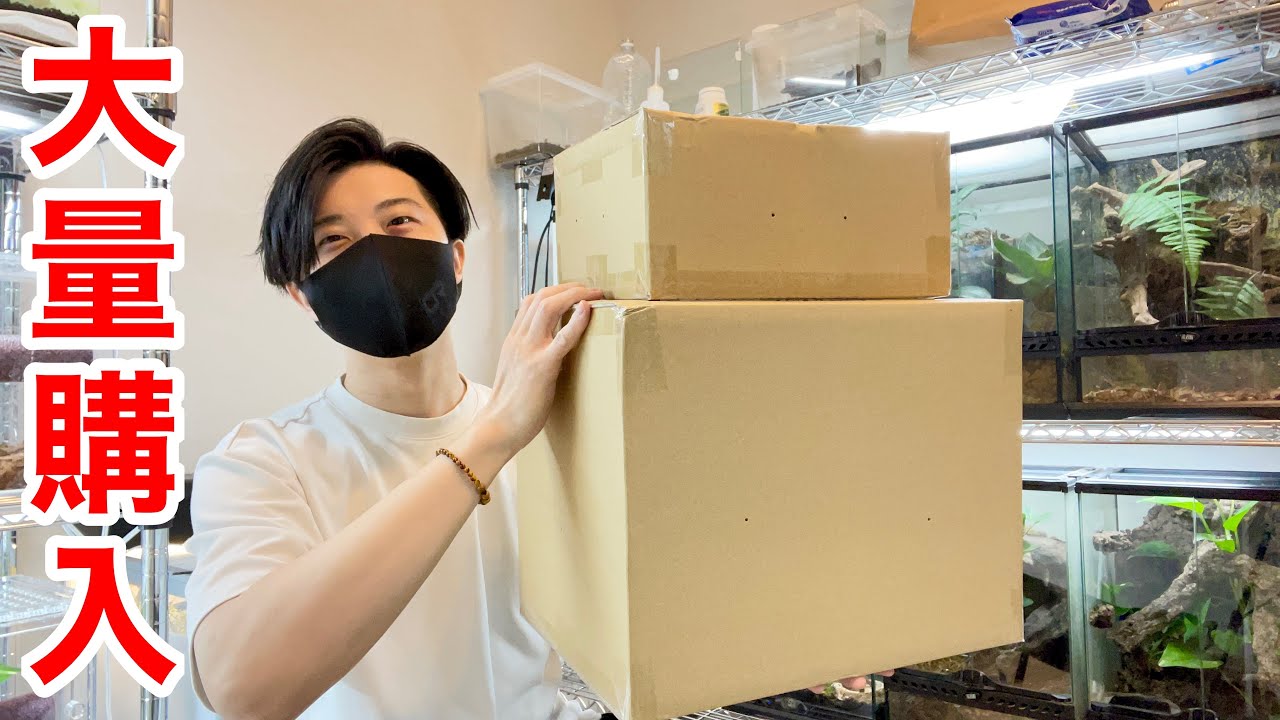 【大量購入】JRS静岡でお迎えした生体も紹介！