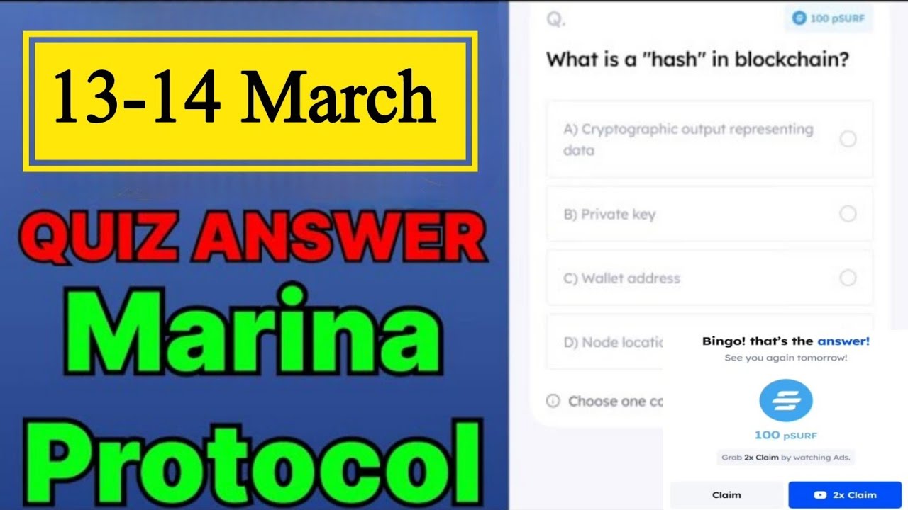 Marina Protocol Quiz Answer 13 March | Marina Protocol Today Answer | Marina Protocol Daily Quiz