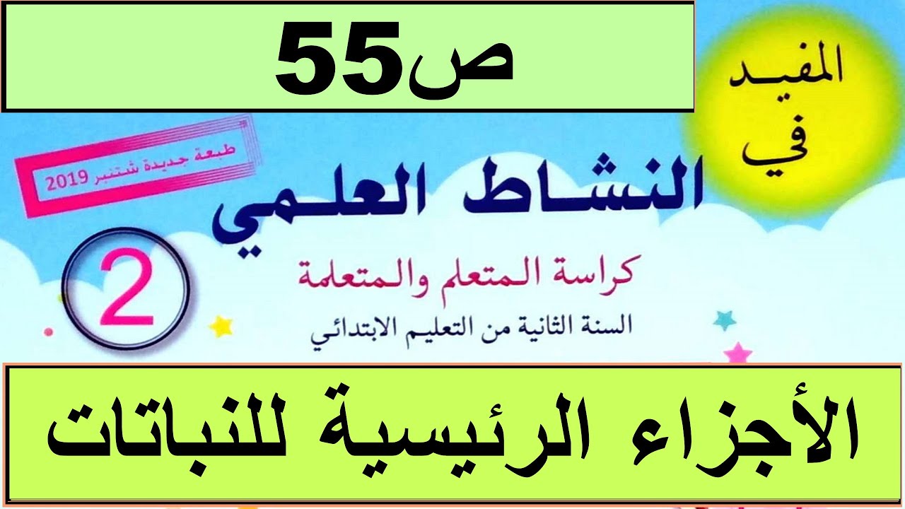 ما هي الأجزاء الرئيسية للنباتات؟ ص55 المفيد في النشاط العلمي المستوى الثاني