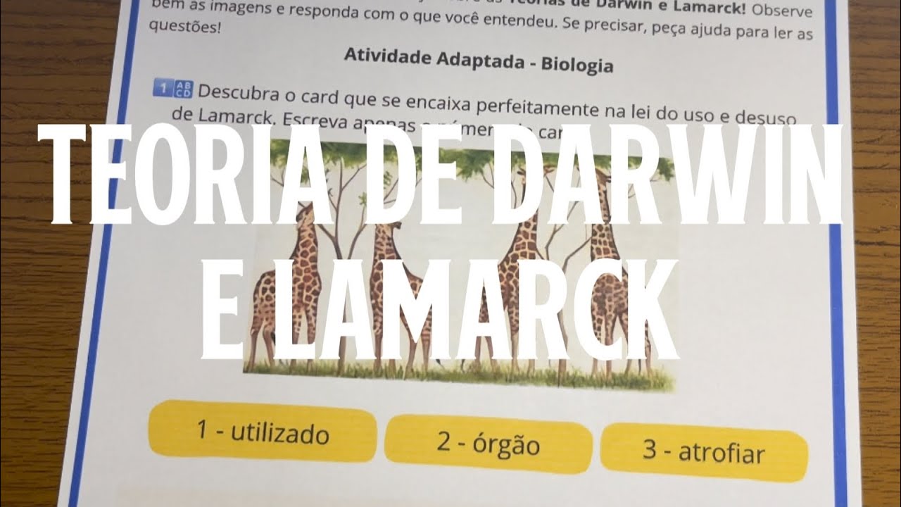 Darwin x Lamarck - Atividade Adaptada e Visual para Ensinar Evolu&ccedil;&atilde;o com Clareza