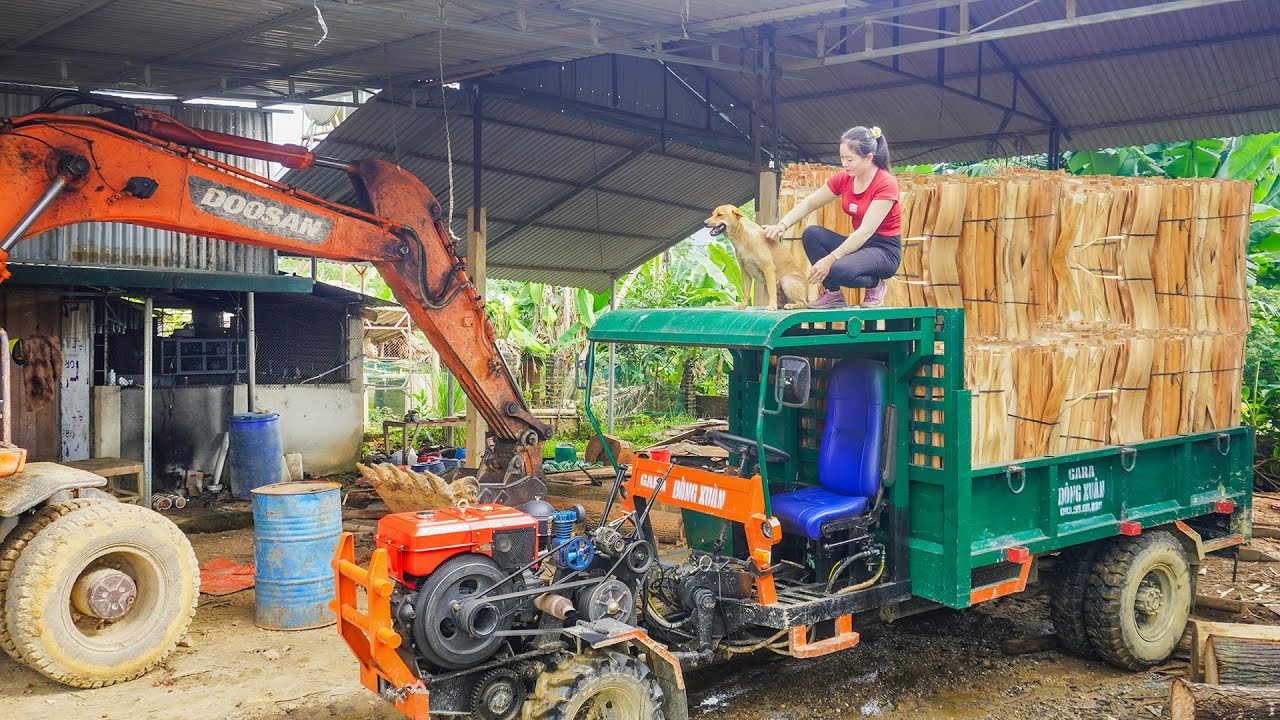Use Truck To Transport Peeled Wood For Sell - Transporting Building Materials - Daily Farm
