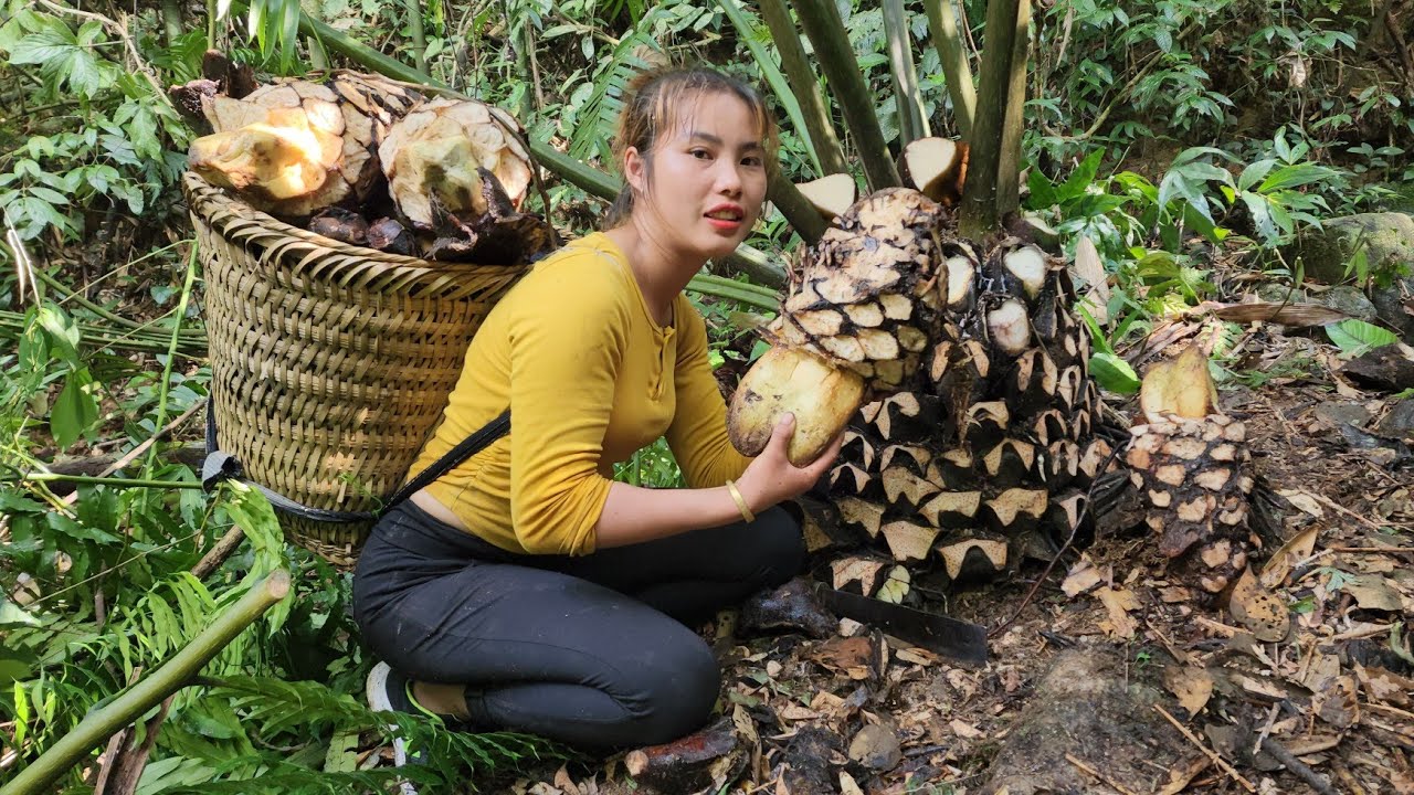 FULL VIDEO: process, harvest, taro, horseshoe tubers, natural ginseng, bring to market, sell
