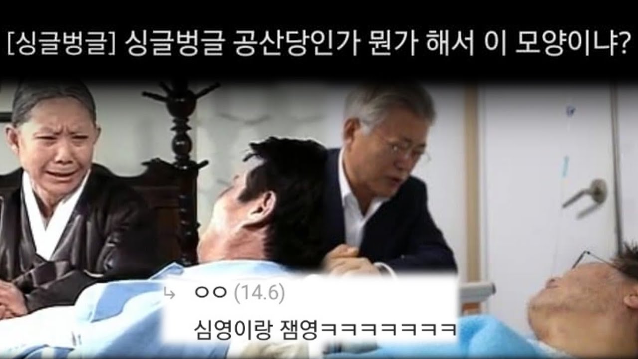 싱글벙글 지구촌 갤러리 매운맛 모음 2