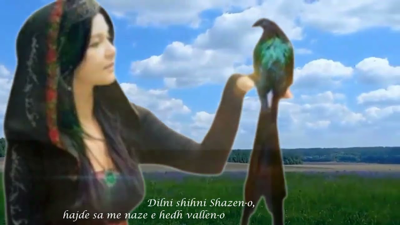 Ç' E  PAGOVE DYFEKÇINË