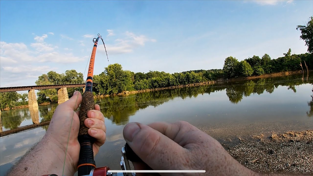 My biggest catfish ever! PB flathead!