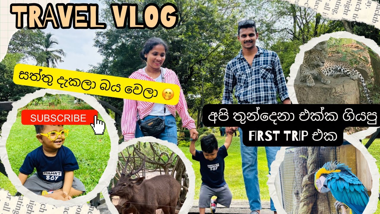 අපි තුන්දෙනාත් එක්ක ගියපු first trip එක 👌😻|. එයා මෙච්චර සත්තු දැක්ක පළවෙනි වතාව 😱🐒🦊 