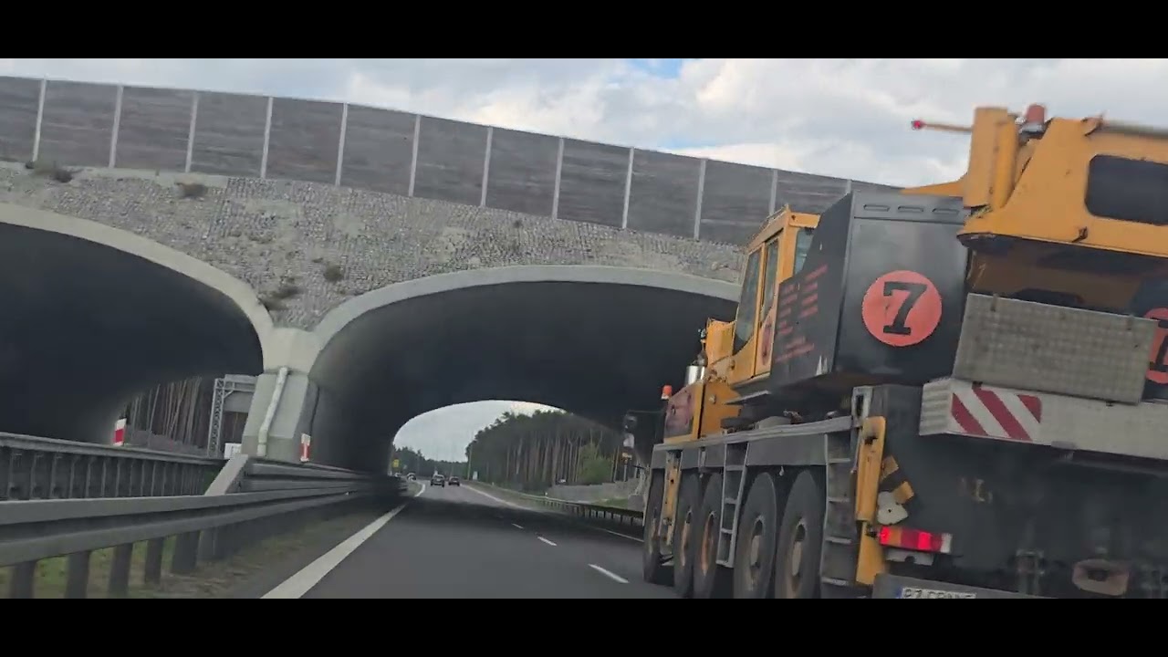 12 października 2025