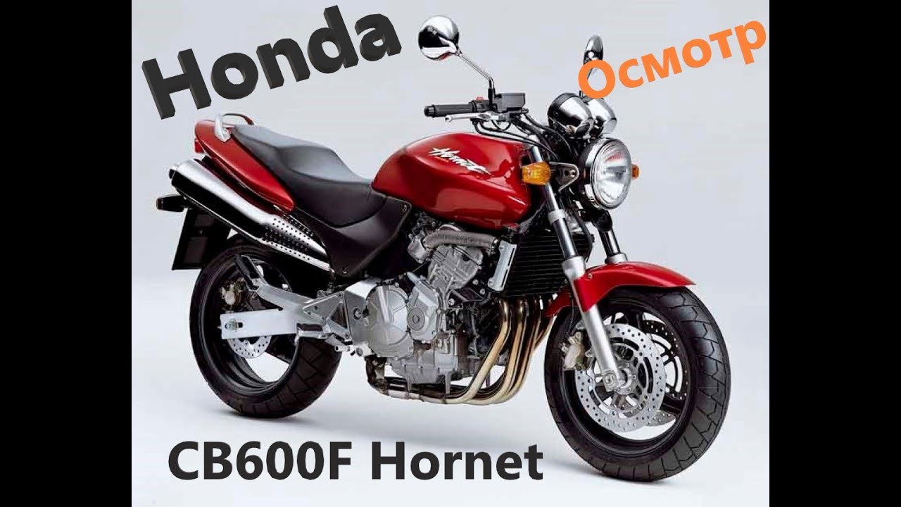 Мотоподбор. Две уставшие легенды Honda CB600F. Осмотр и оценка Hornet первого поколения