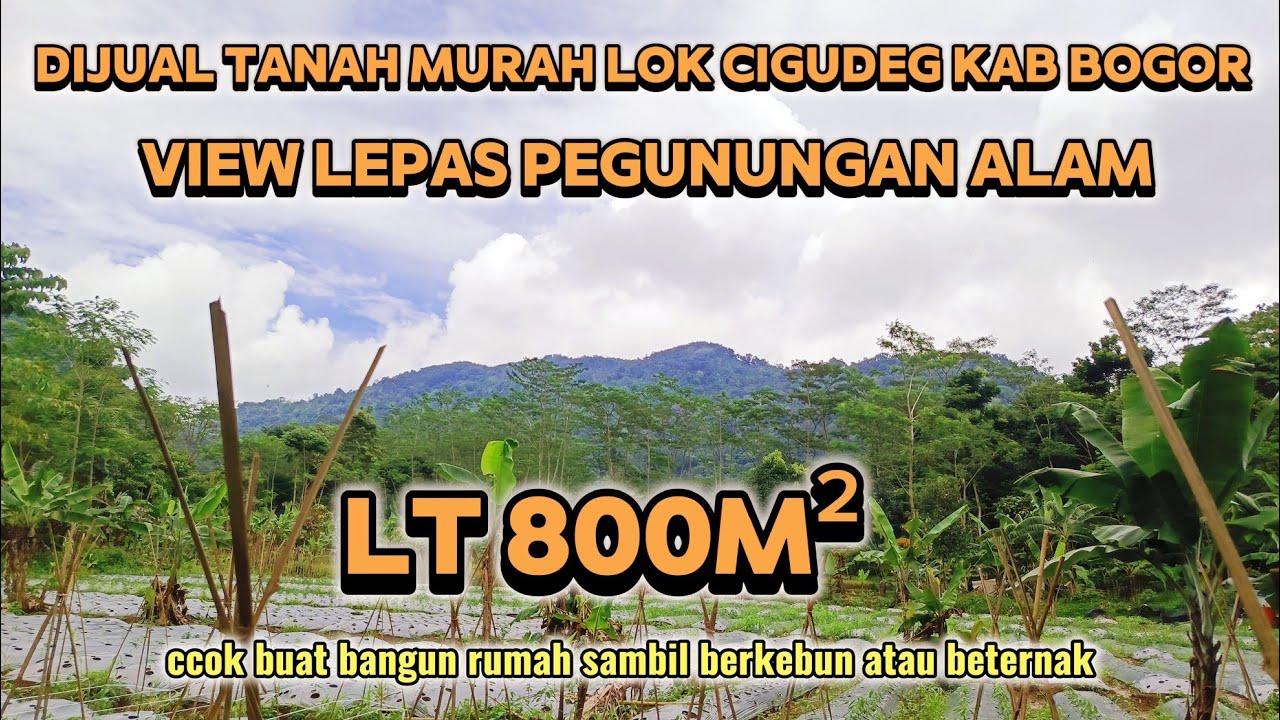 DIJUAL TANAH MURAH BANGET 😱 HARGA 80 JT LOKASI DI CIGUDEG KAB BOGOR AIRNYA MELIMPAH.