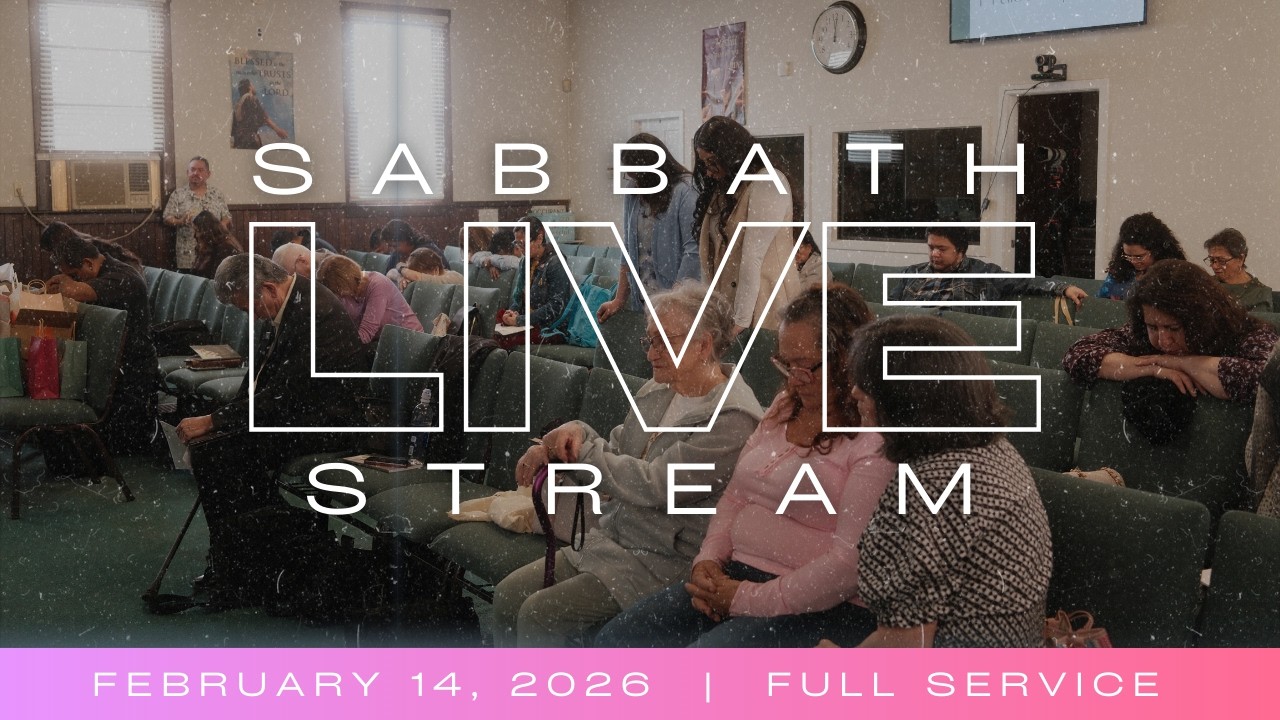 Live Service | February  14,  2026