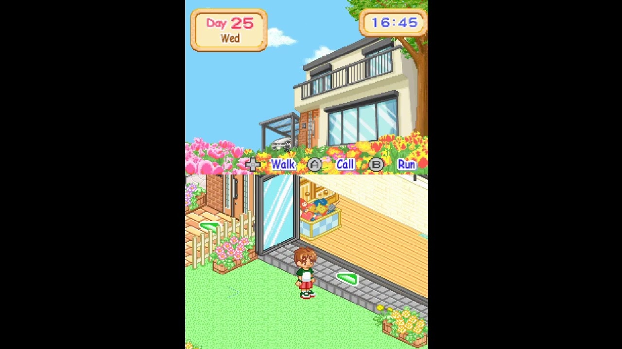 Dogz (Nintendo DS) [Day 25]