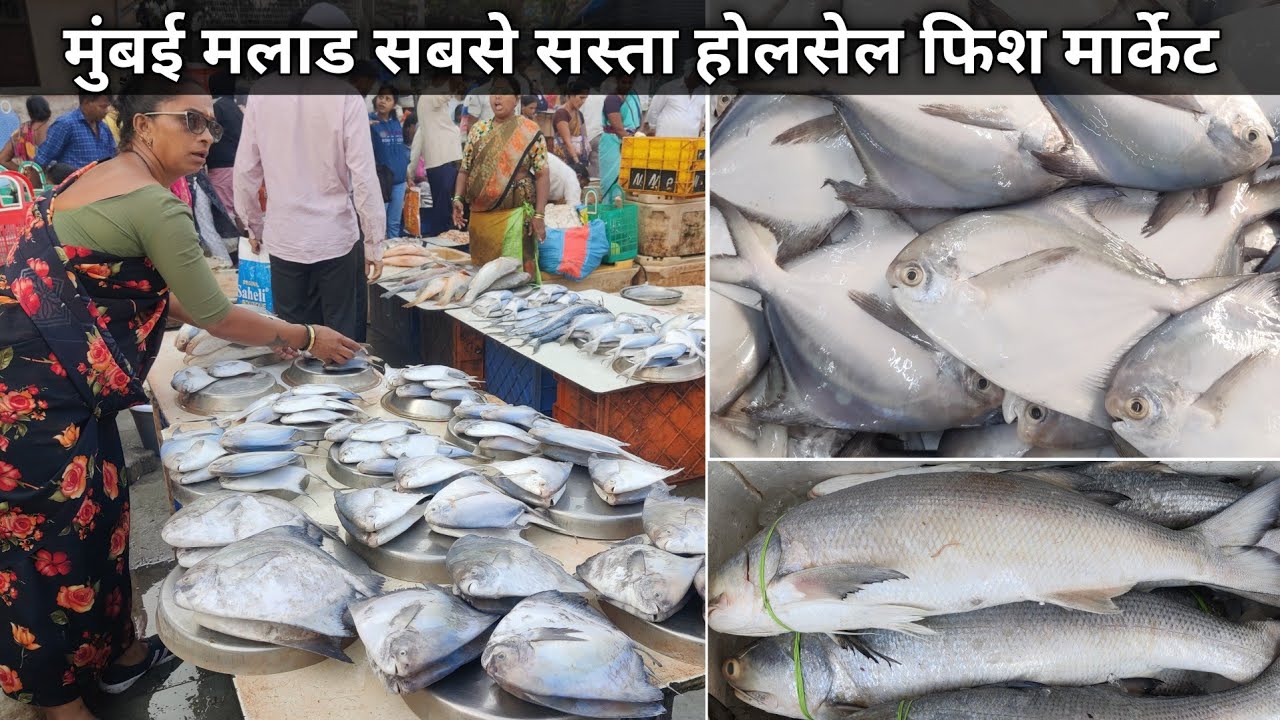 Malad Fish Market | Malad Wholesale Fish Market | Malad Fish Market In Mumbai