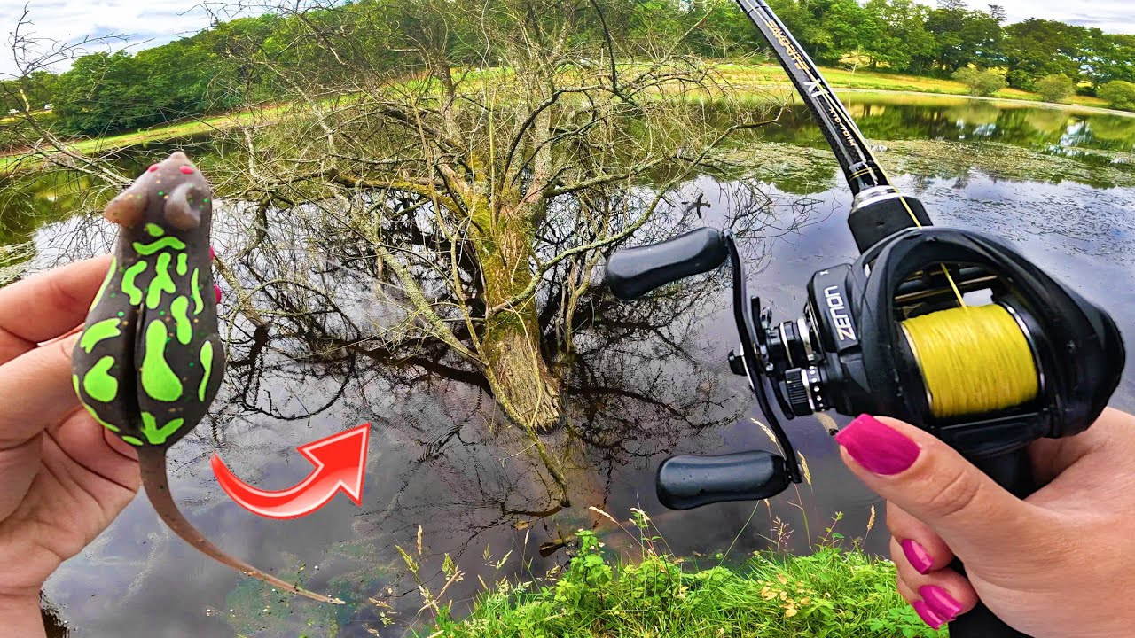Cet étang déborde et on pêche les gros poissons dans nos pieds avec cette souris !!!