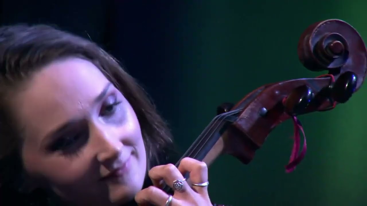 Kilfenora C&eacute;il&iacute; Band   The Atlantic Waltz   Comhluadar Ceoil   TG4
