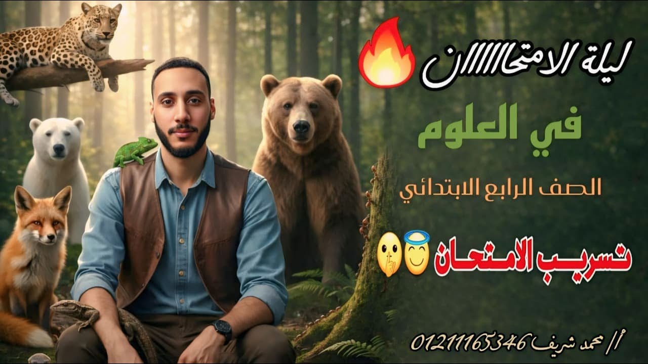 🔥 مش هتحتاج تفتح الكتاب تاني | مراجعة ليلة الامتحان الصف الرابع الابتدائي الترم الاول