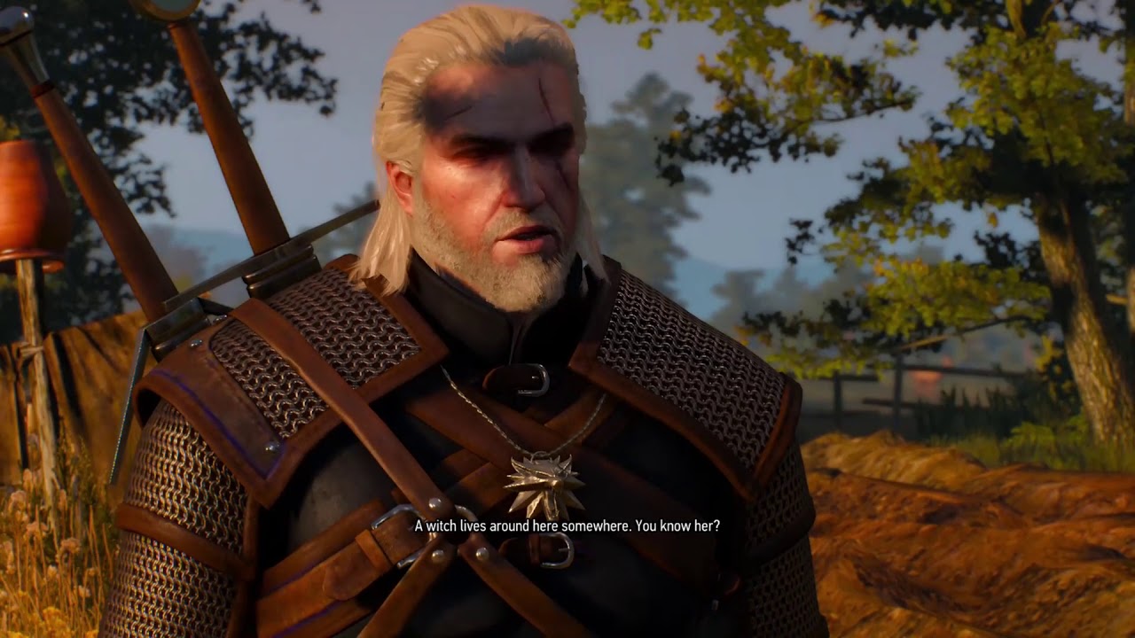 Find the witch on your own or ask the residents of midcopse about her | The Witcher 3 Wild Hunt