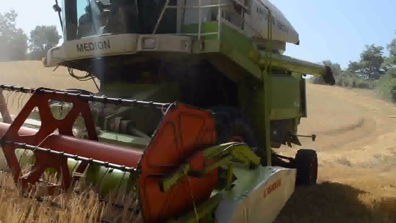 Cerreto di Badia Tedalda, la battitura del grano 2022