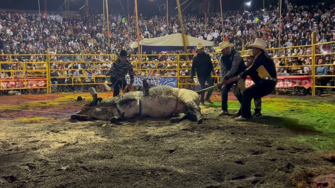 Peque&ntilde;o Ray vs Pato Gacho San Miguel Xicalco CDMX.