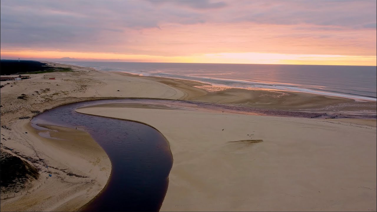 Les landes en 4K