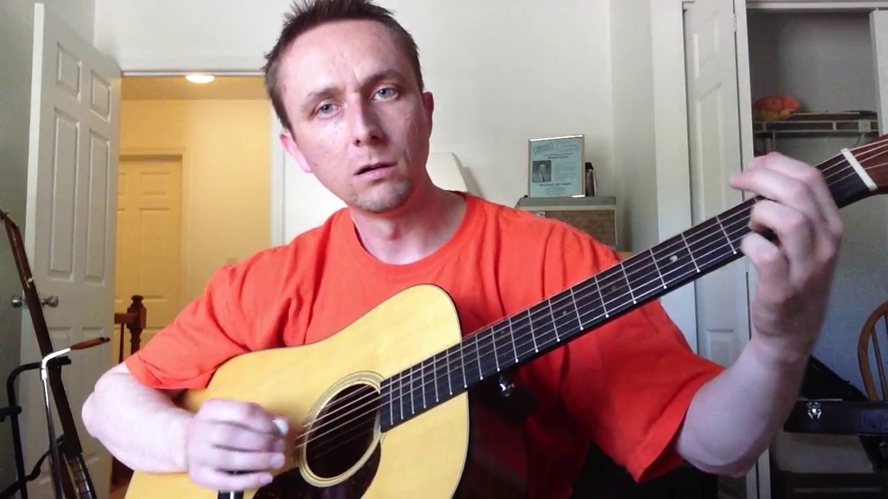 Seagull vs. Martin Guitars