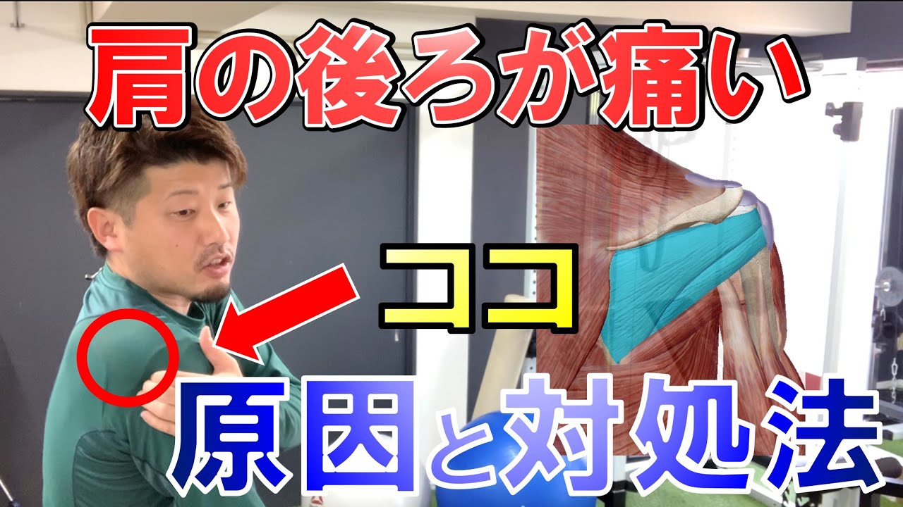 肩の後ろが痛い時の治し方【野球肩 バレーボール 五十肩】