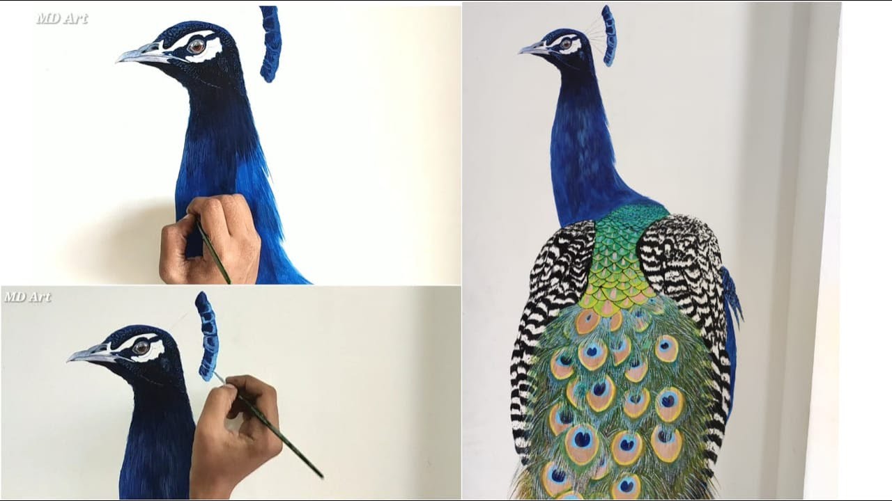 Peacock wall painting with Acrylic/ A Realistic Art / DIY Wall decor/ Timelaps/ Dhavan Art
