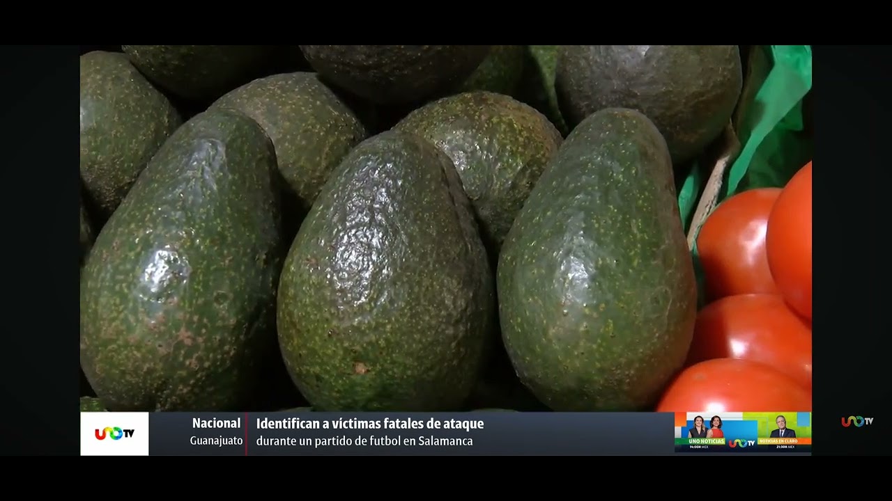¡Más aguacate para Super Bowl 2026! Bajo precio #aguacate #superbowl #mexico #estadosunidos